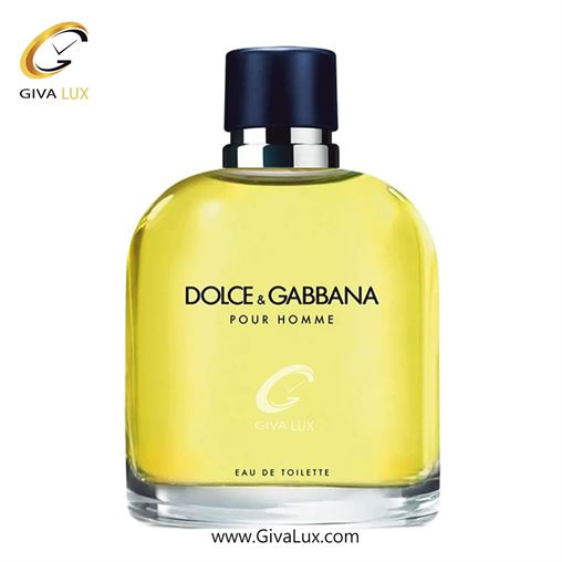   Dolce&Gabbana Pour Homme 2012.jpg